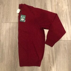 XXL Men’s Alan Paine V-Neck Sweater